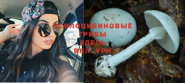 бошки Арсеньев